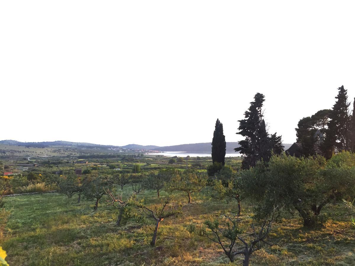 Holiday Home Olive Šibenik Exteriér fotografie
