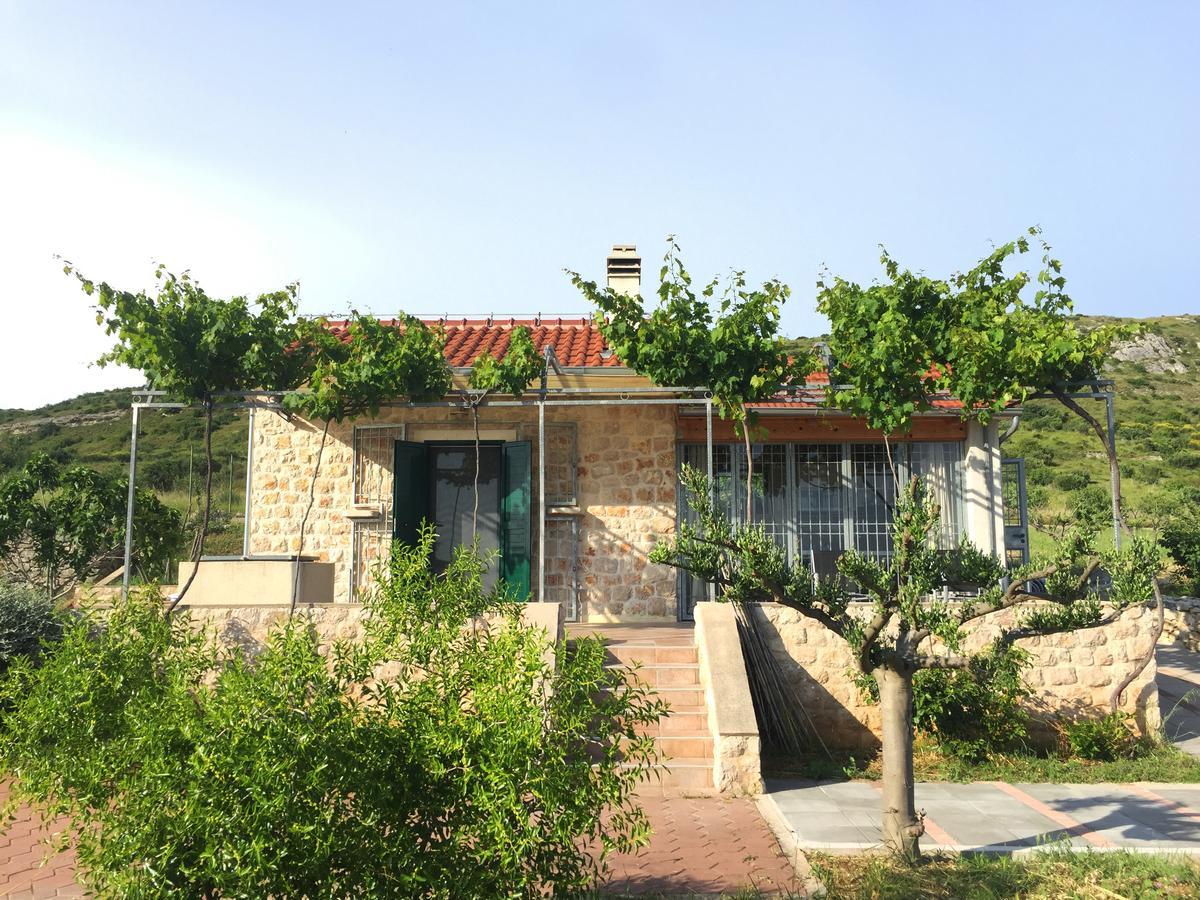 Holiday Home Olive Šibenik Exteriér fotografie